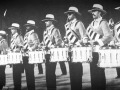Bush-1985-Perc-Snares-BW