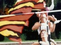 1989-guard-lot