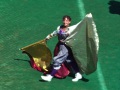 1993-09-05-CG-Flags