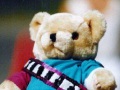 1993-bear