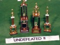1993-trophies
