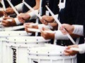 1995-snares_1