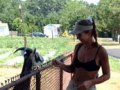 2002-xx-llgoat