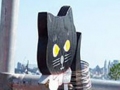2007-08-26-cat