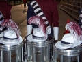2007-09-01-snares-2